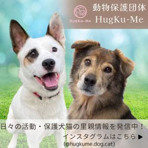 ハグクミのロゴ画像